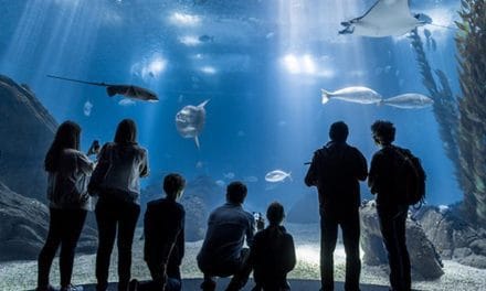 Oceanário  de  Lisboa