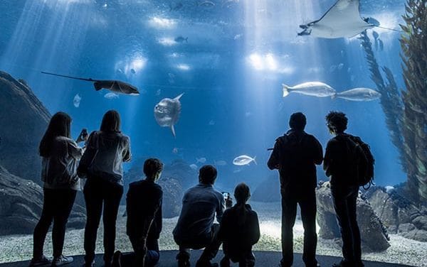 Oceanário  de  Lisboa