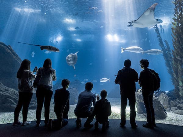 Oceanário de Lisboa - Vamos para Portugal