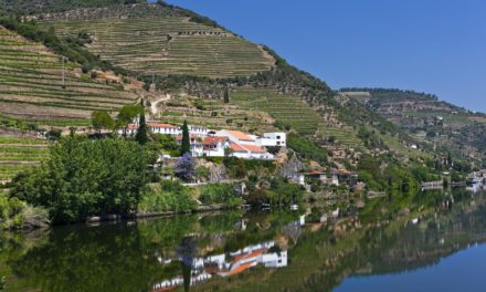 Quinta de la Rosa