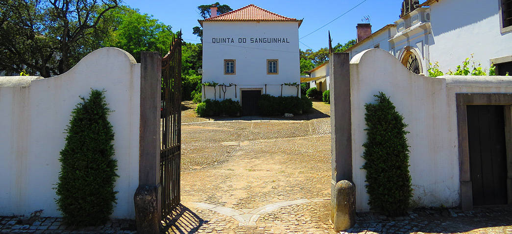 Quinta do Sanguinhal